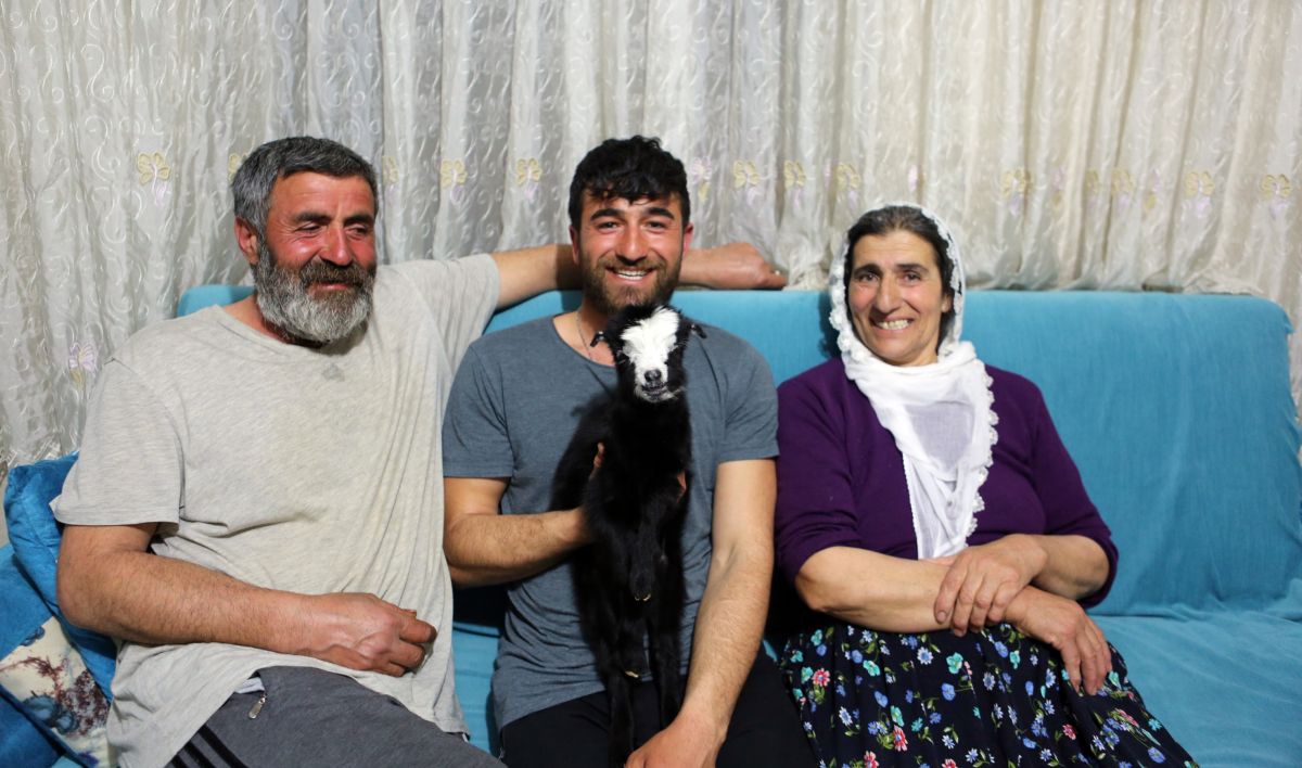 Tunceli'de annenin reddettiği oğlağa, torunları gibi bakıyorlar