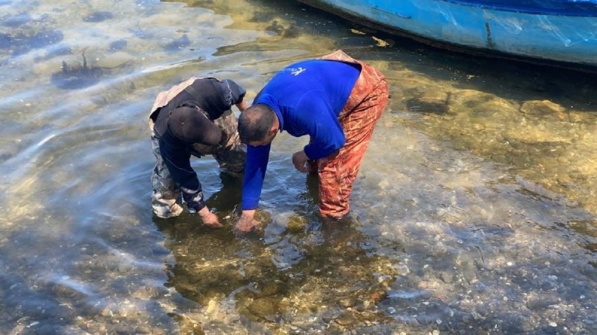 Bursa’da balıkçıların ağından tarihi eser çıktı