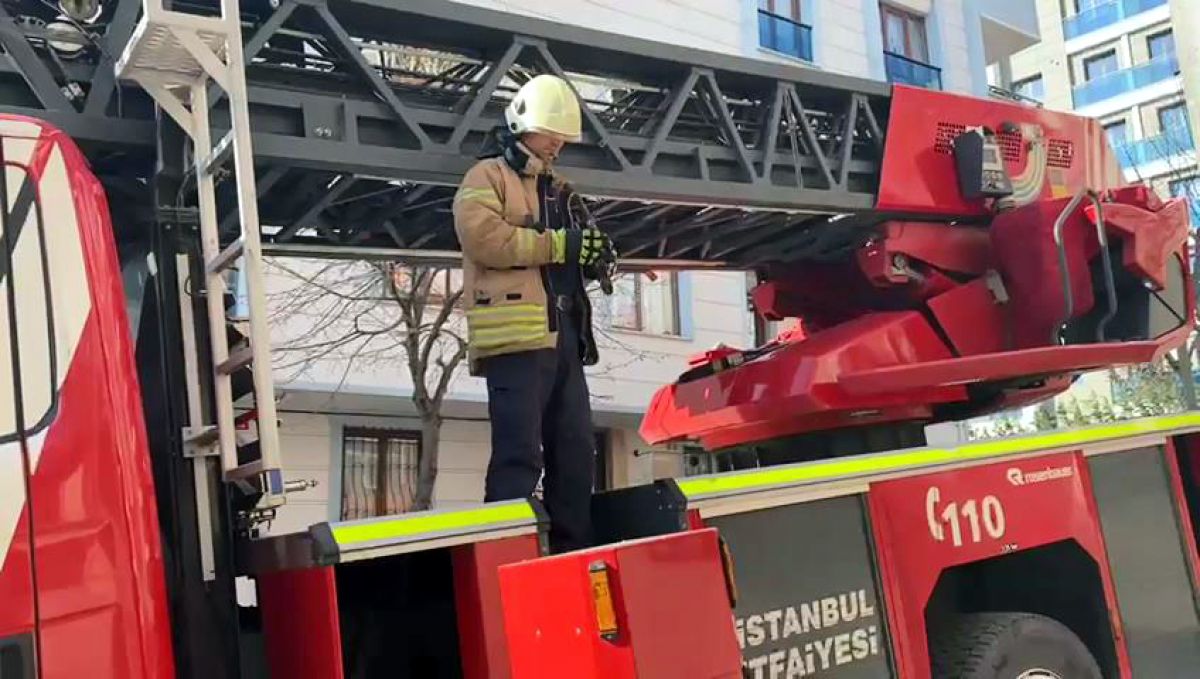 Avcılar’da cam balkonda mahsur kalan güvercin kurtarıldı