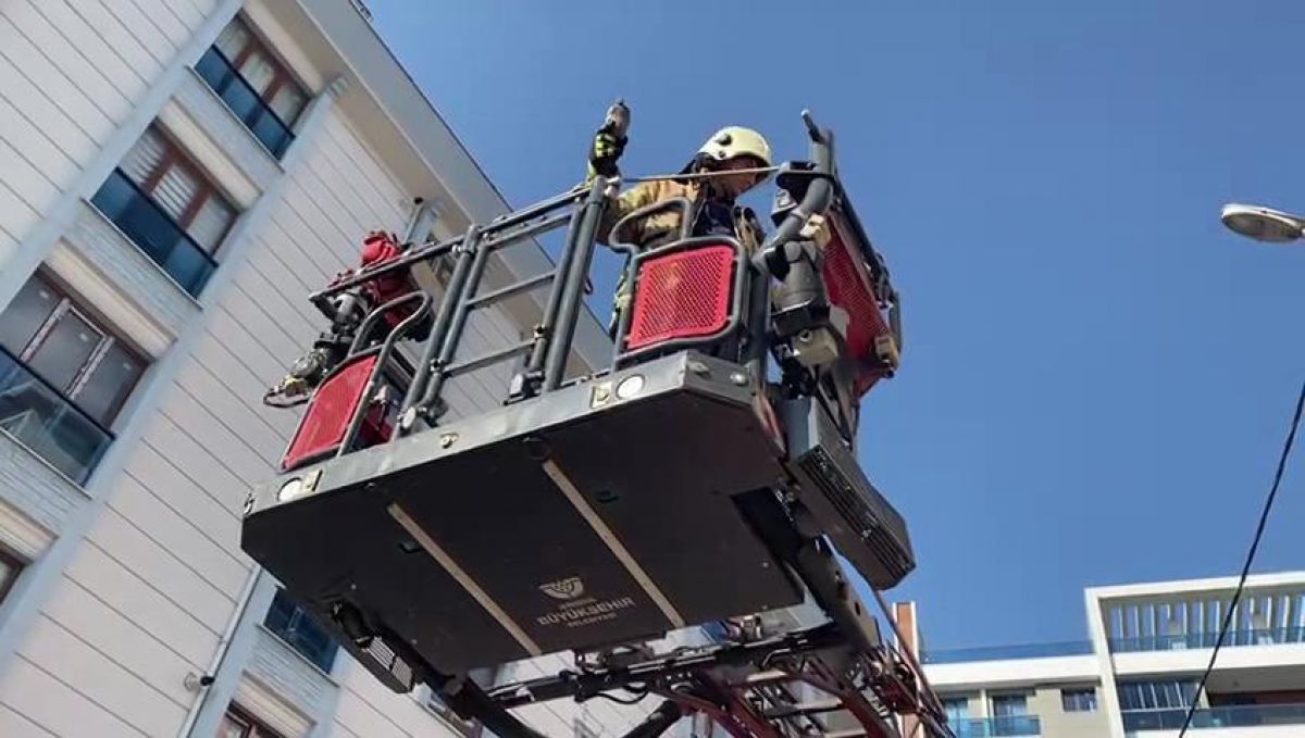 Avcılar’da cam balkonda mahsur kalan güvercin kurtarıldı