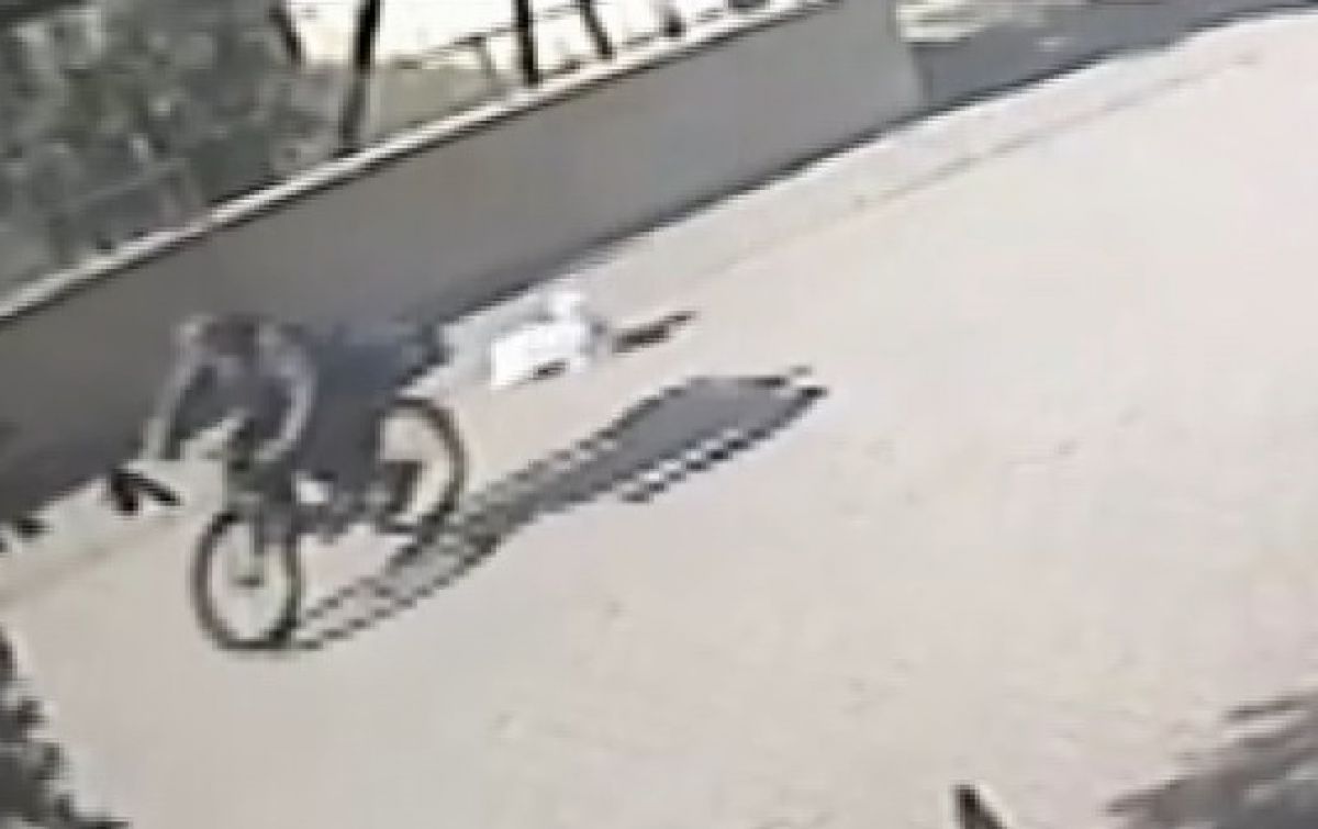 Adana da bisikletlinin yola attığı torbadaki köpeği otomobil ezdi #1