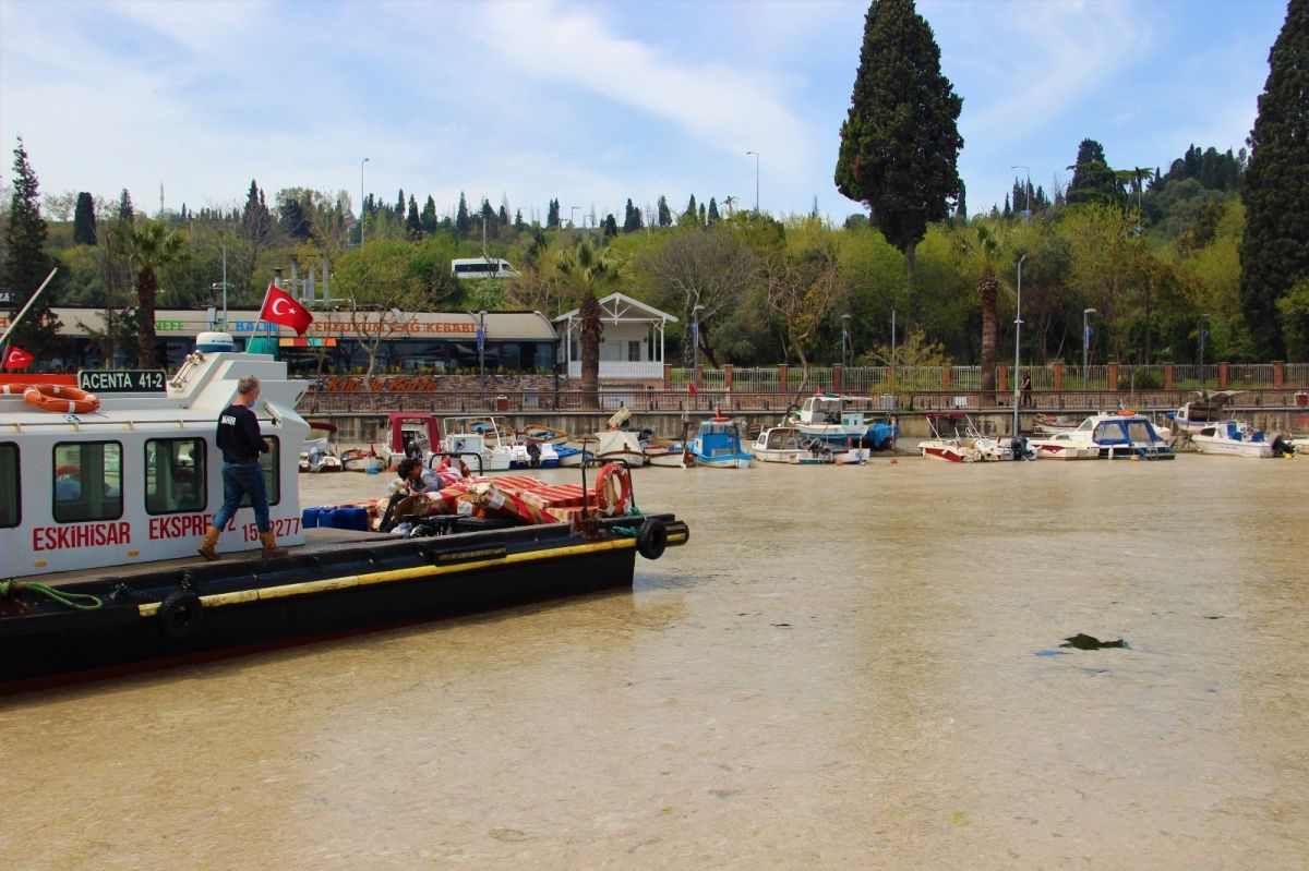 İzmit Körfezi'nde deniz salyası kabusu devam ediyor