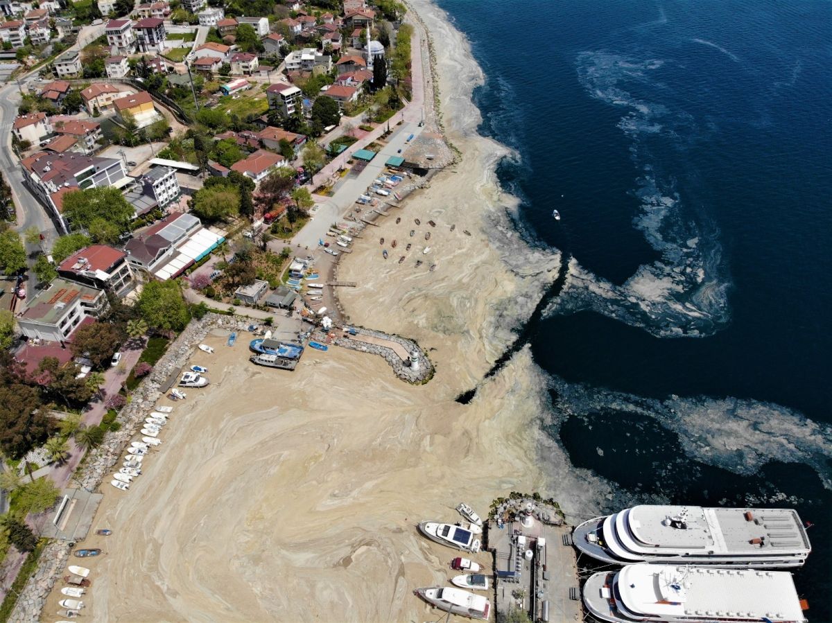 İzmit Körfezi'nde deniz salyası kabusu devam ediyor