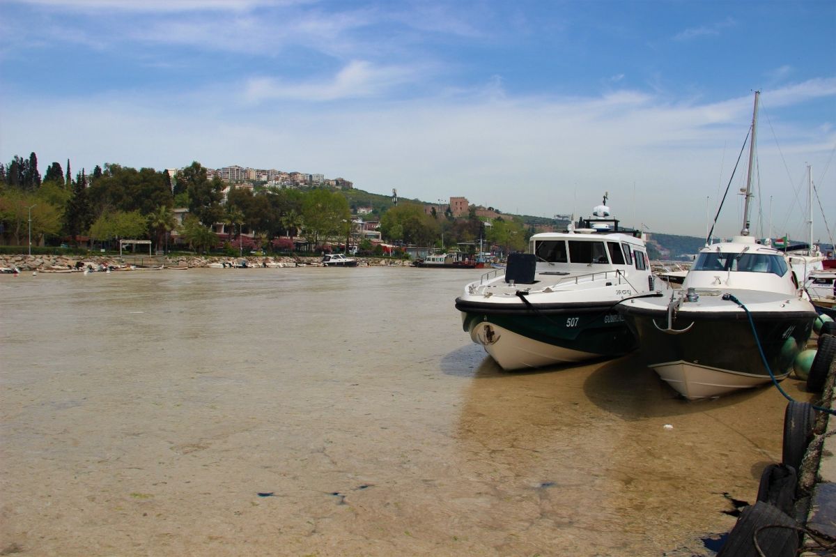 İzmit Körfezi'nde deniz salyası kabusu devam ediyor