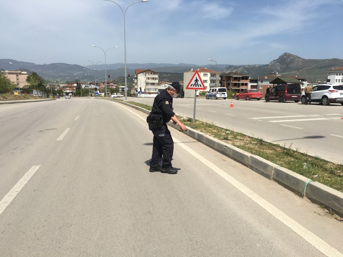 Bilecik'te karşıya geçmeye çalışan kaplumbağaya polis yardım etti