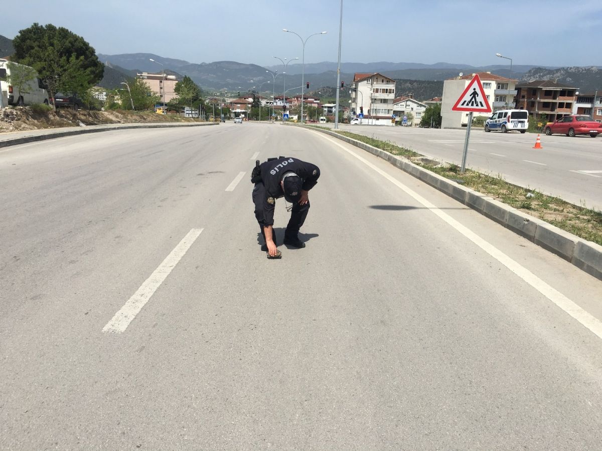 Bilecik'te karşıya geçmeye çalışan kaplumbağaya polis yardım etti