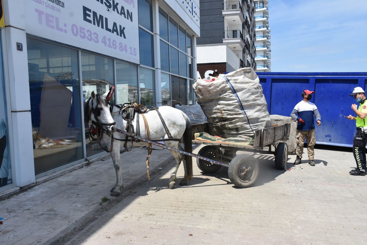 Edirne'de at arabasına çarpan kurye yaralandı