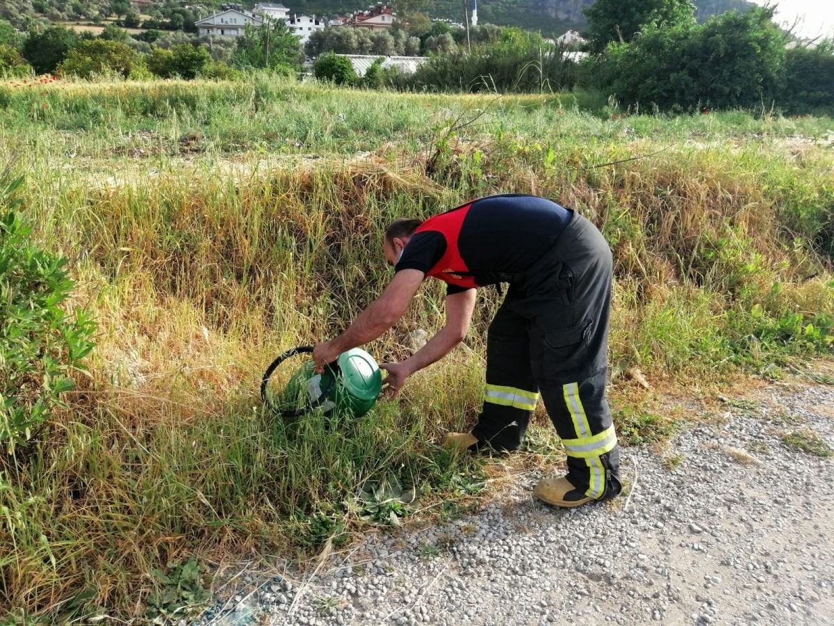 Muğla'da yatağın altından yılan çıktı