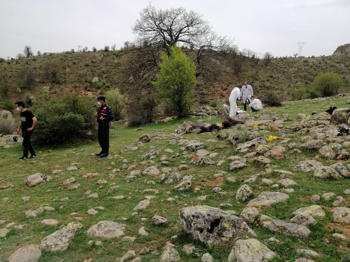 Konya'da koyun otlatma kavgasında baba ve oğlunu öldüren komşu, tutuklandı