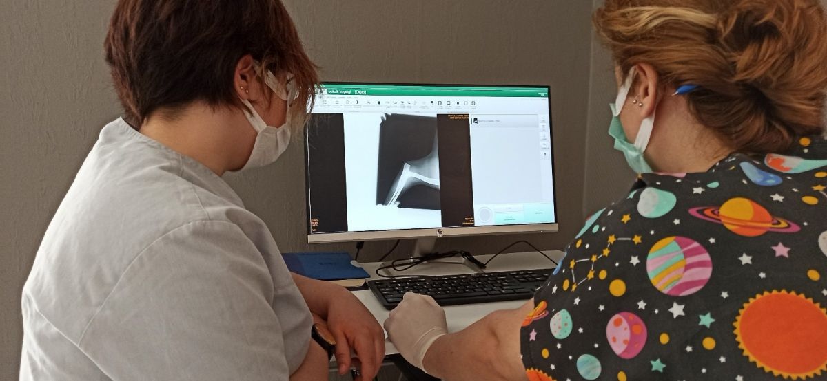Düzce'de sokak köpeğine çarpan sürücüden örnek davranış
