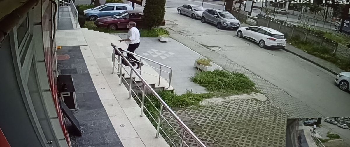 Düzce'de sokak köpeğine çarpan sürücüden örnek davranış