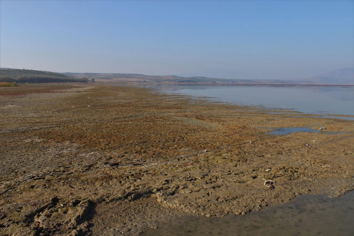 Manisa da göl arazisinde usulsüz tarıma 1,4 milyon lira ceza #3