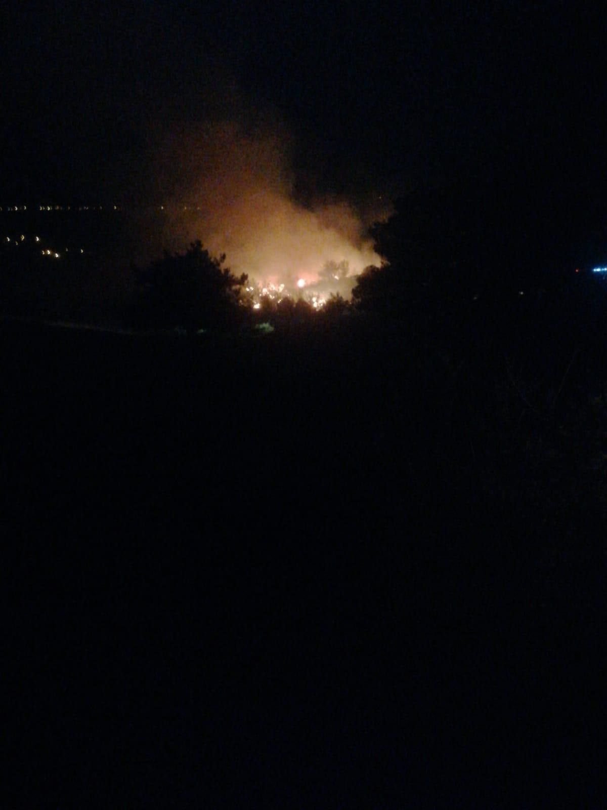 Adana da orman yangını #2