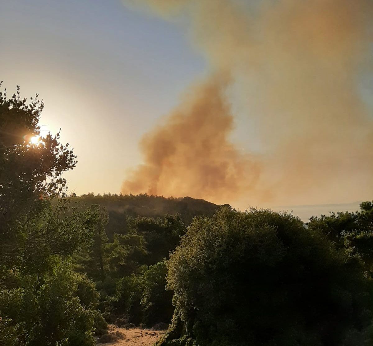 Çanakkale Ezine’de orman yangını çıktı #3