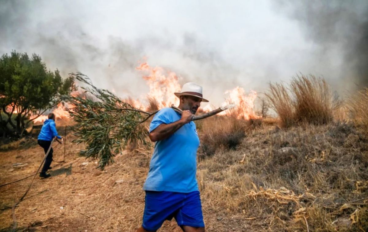 The forest fire in Athens, the capital of Greece, has started again #3