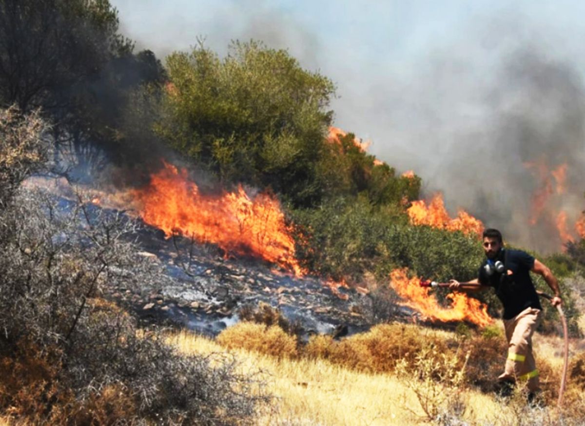 The forest fire in Athens, the capital of Greece, has started again #2