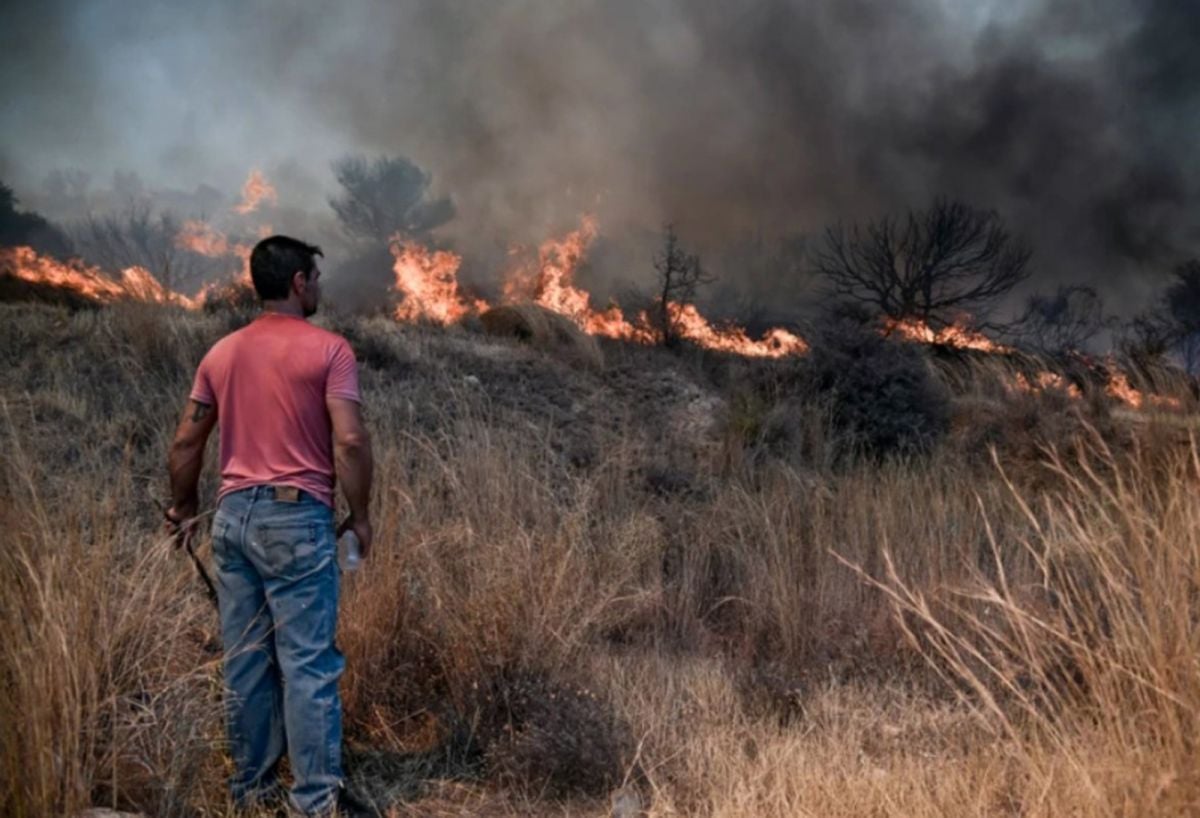 The forest fire in Athens, the capital of Greece, has started again #4