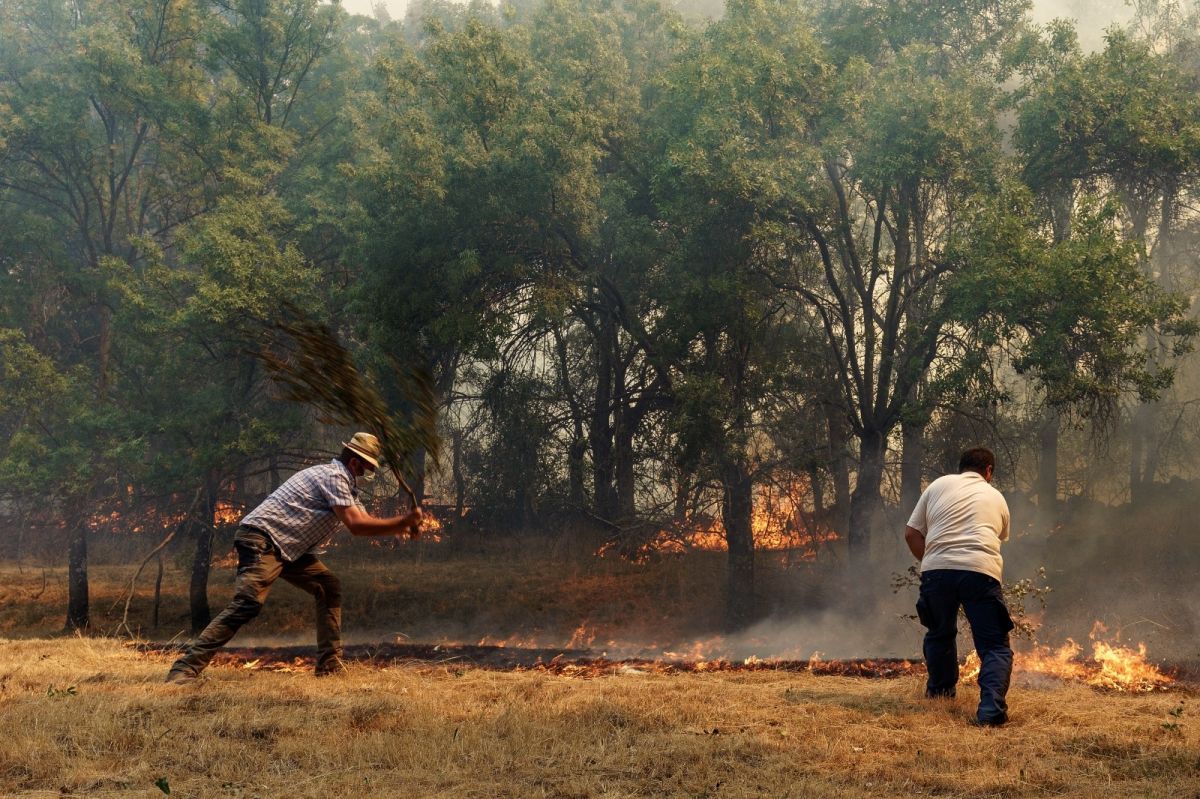 12 thousand hectares of forest area turned to ash in Spain #5