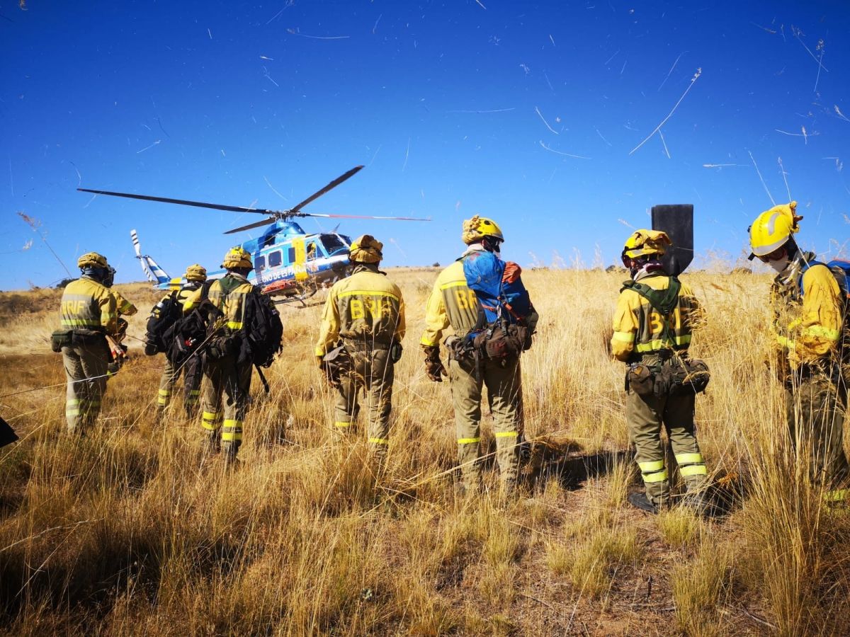 12 thousand hectares of forest area turned to ash in Spain #3