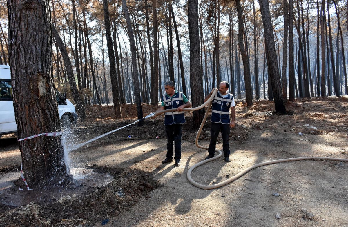 Marmaris te polis, yanan ormanı yeşertmek için çalışıyor #1