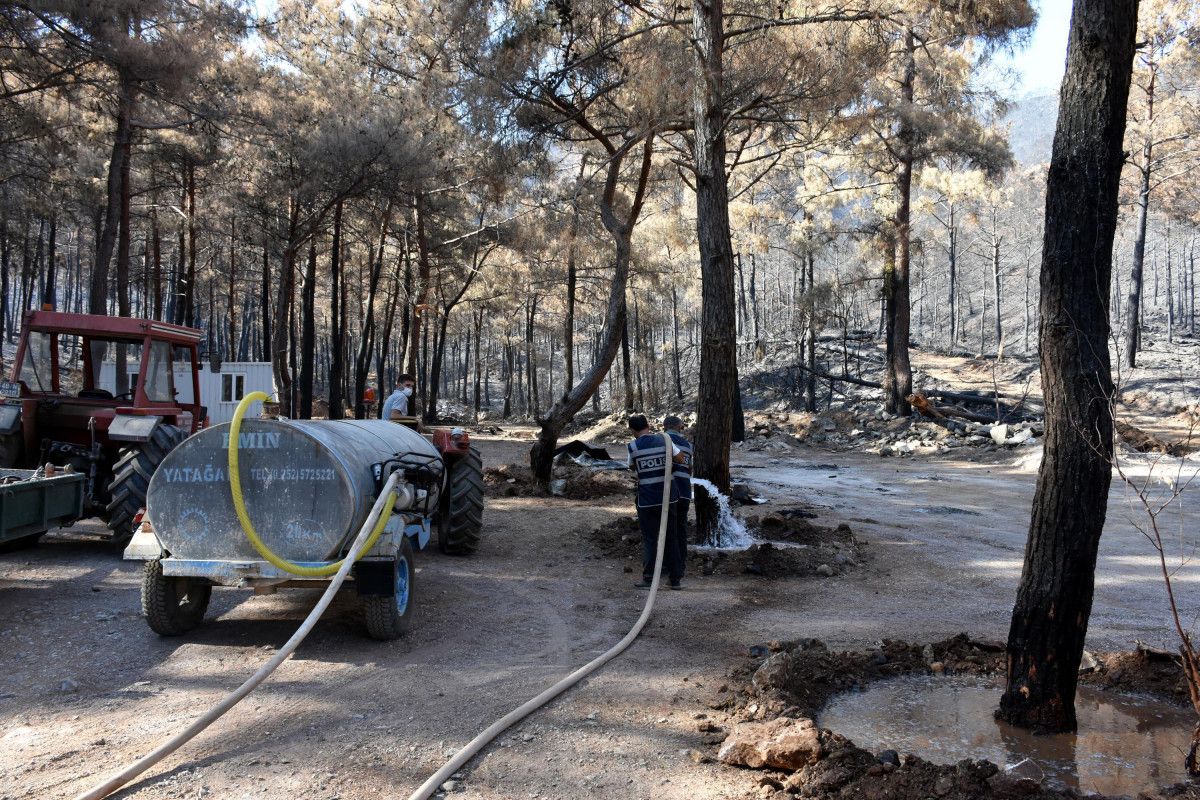 Marmaris te polis, yanan ormanı yeşertmek için çalışıyor #4