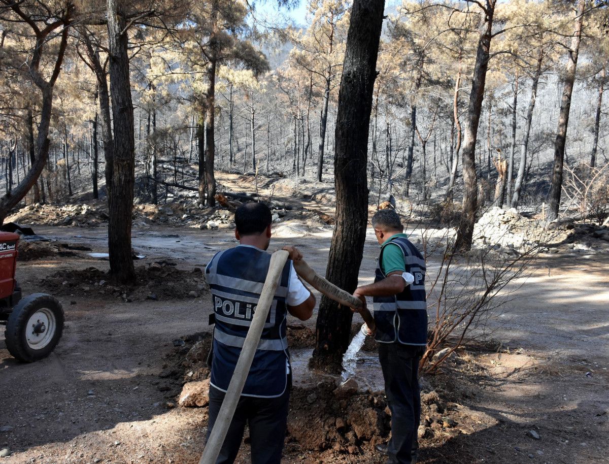 Marmaris te polis, yanan ormanı yeşertmek için çalışıyor #3