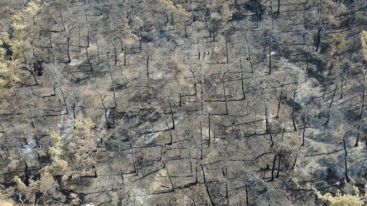 Heybeliada’da soğutma çalışmaları sürüyor #3