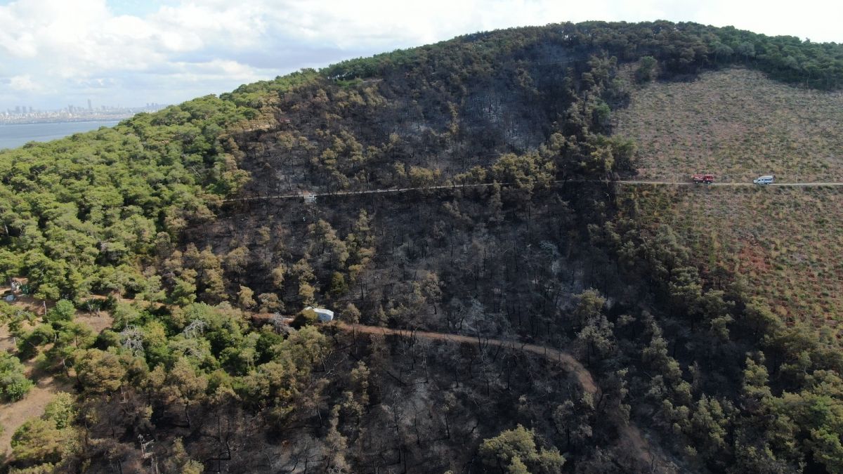 Heybeliada’da soğutma çalışmaları sürüyor #8