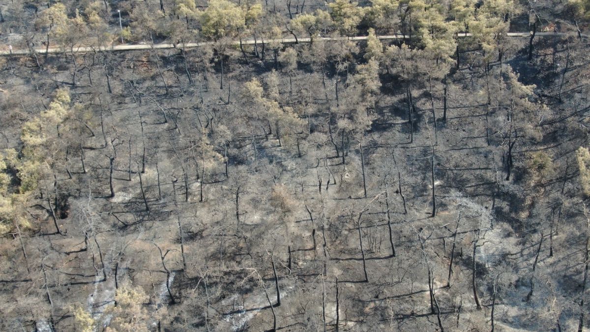 Heybeliada’da soğutma çalışmaları sürüyor #2