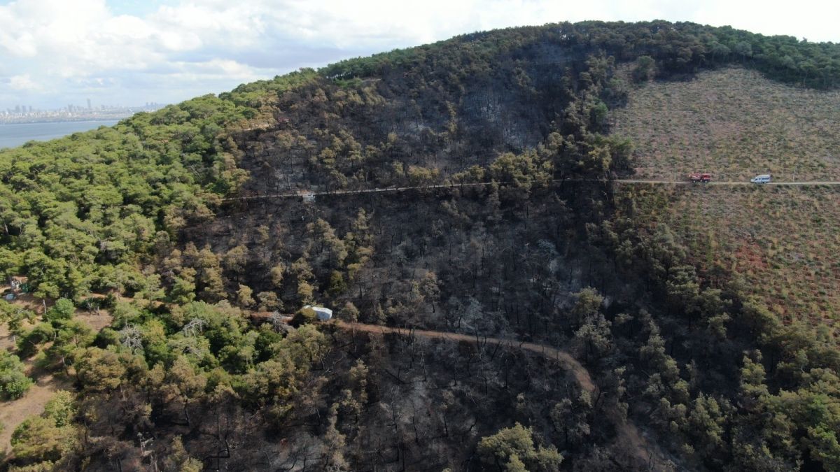 Heybeliada’da soğutma çalışmaları sürüyor #5