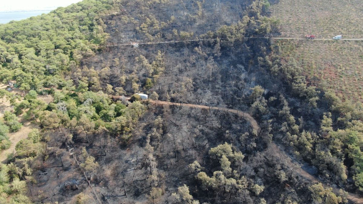 Heybeliada’da soğutma çalışmaları sürüyor #7