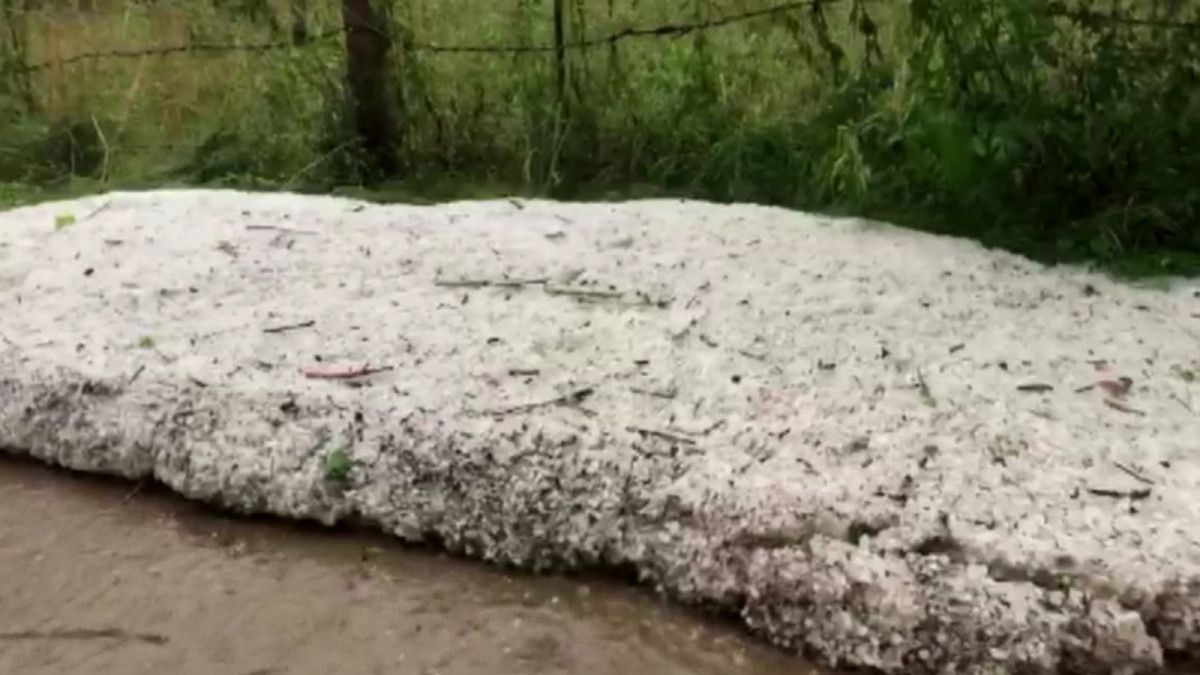 Artvin Şavşat’ta hortum ve fırtına etkili oldu #6