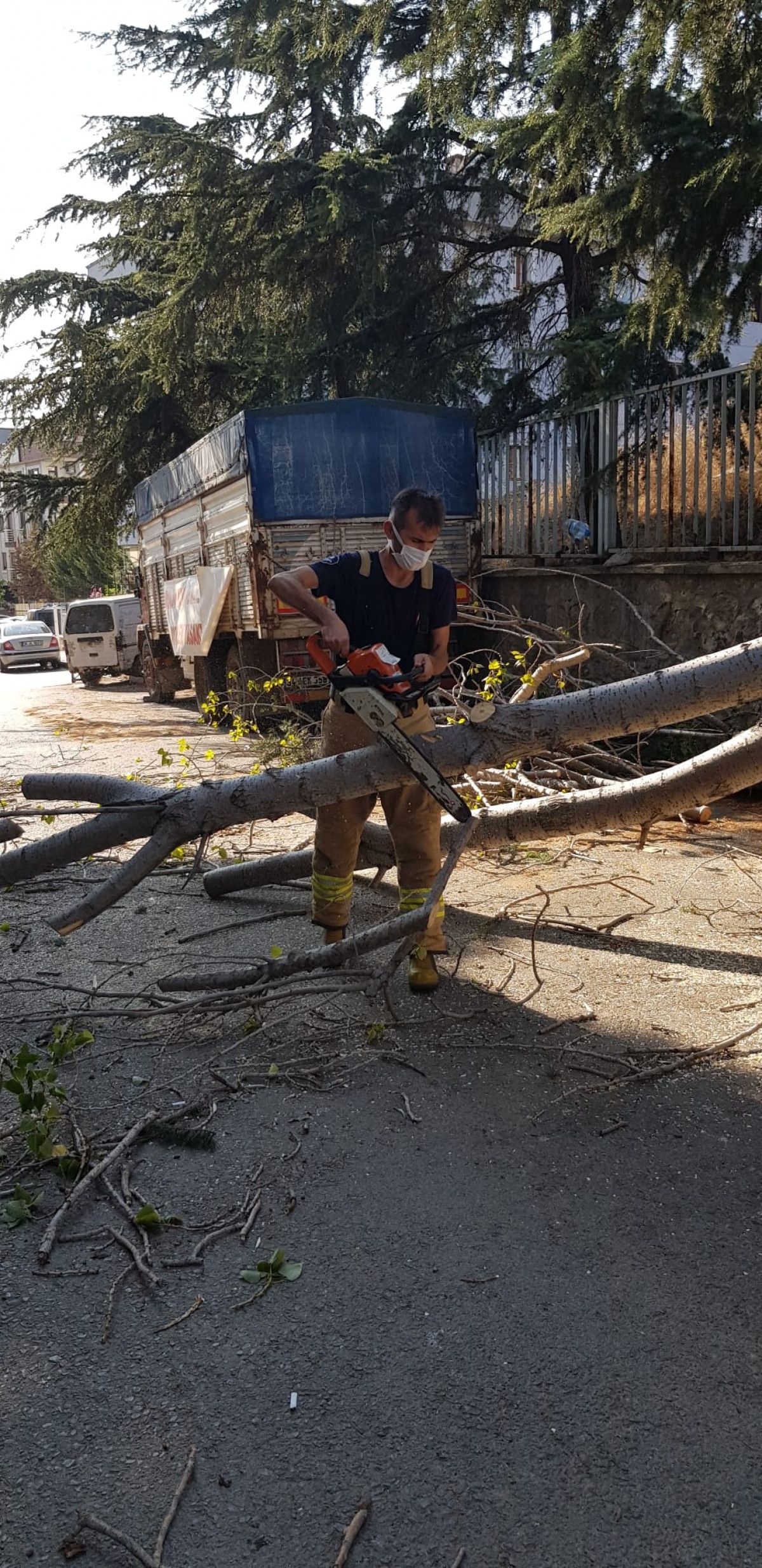 Maltepe de rüzgarlı havada kırılan ağaç, otomobillere zarar verdi #8