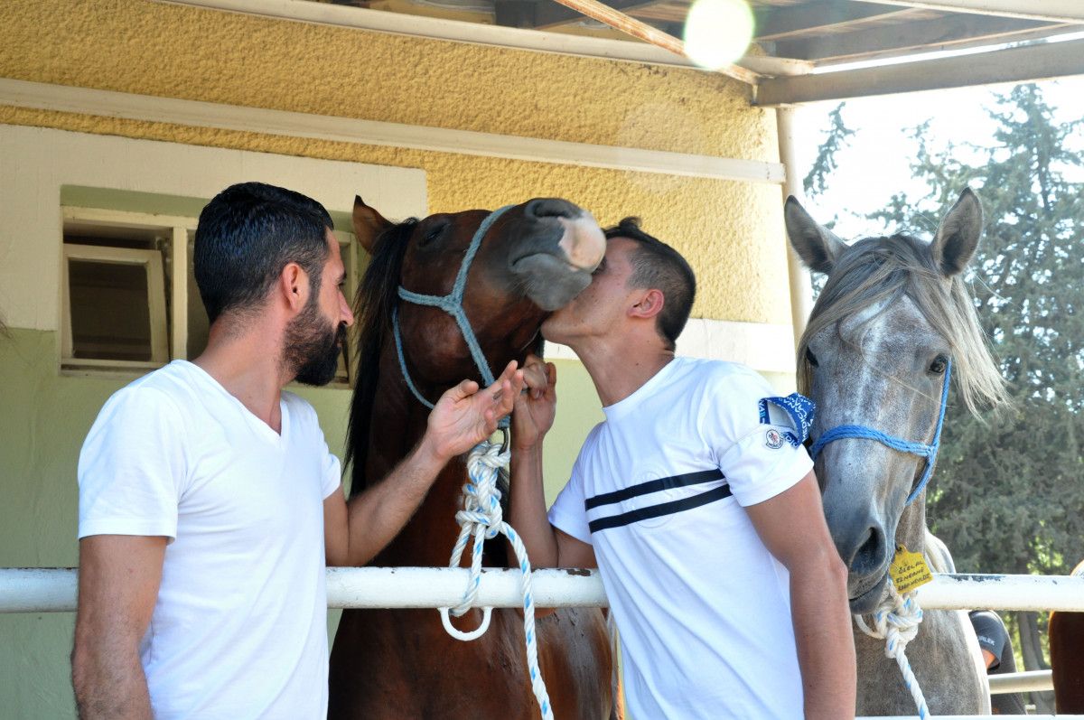 Bursa da otomobil ve ev fiyatına tay satıldı #7