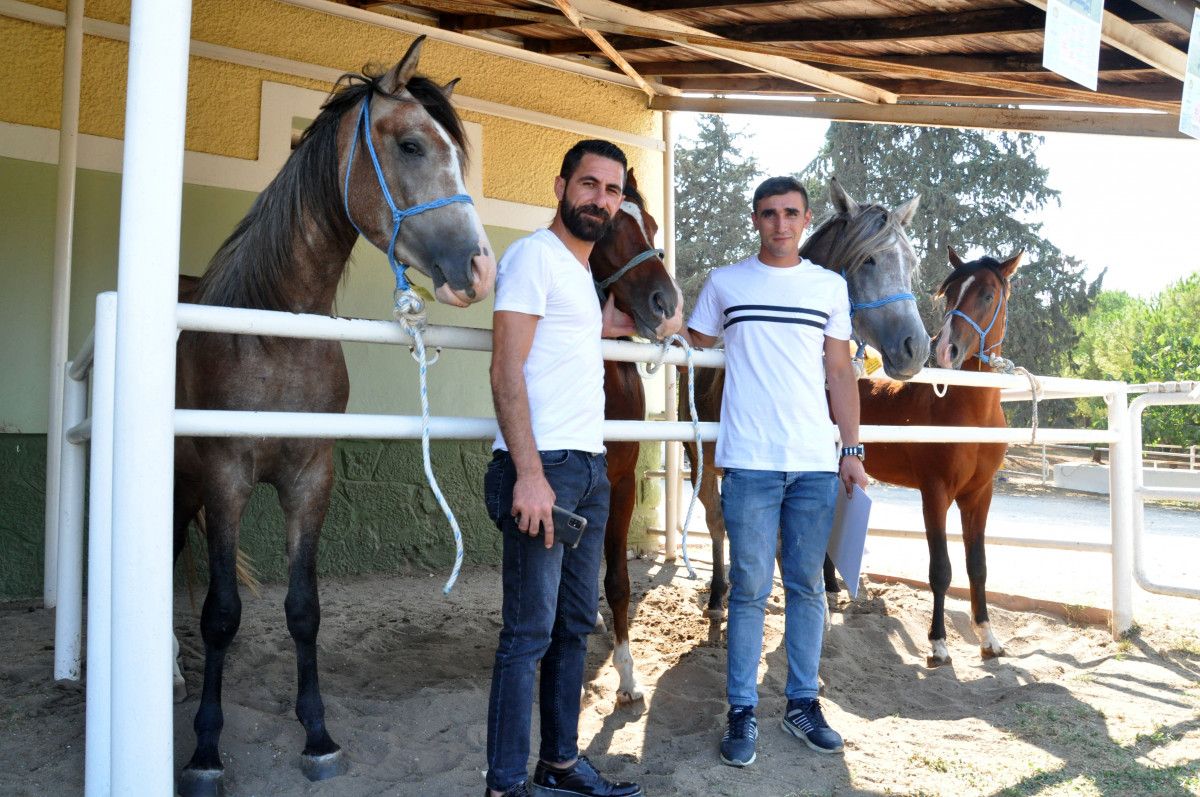 Bursa da otomobil ve ev fiyatına tay satıldı #6