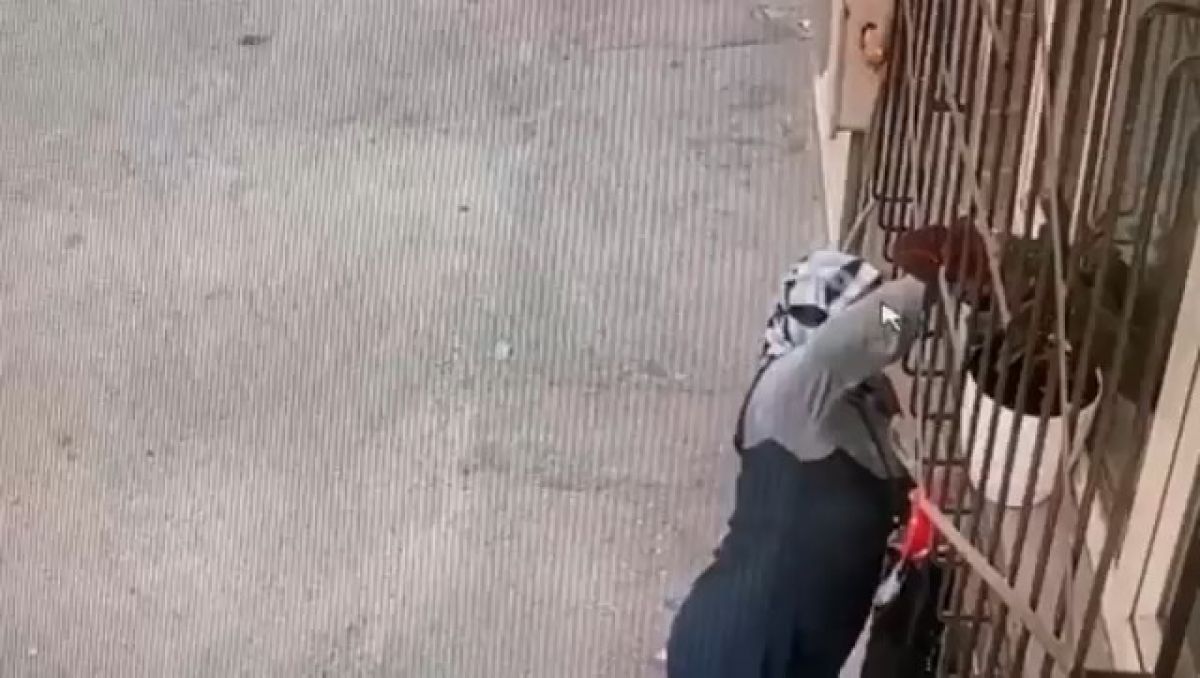 Bursa da camdaki çiçeği çalan kadın kamerada #2