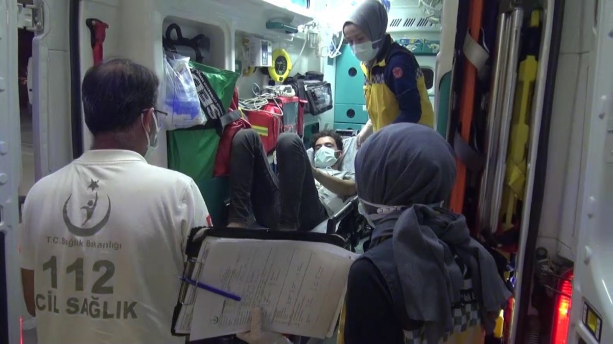 Kocaeli de fındık toplarken yılan ısırdı #1