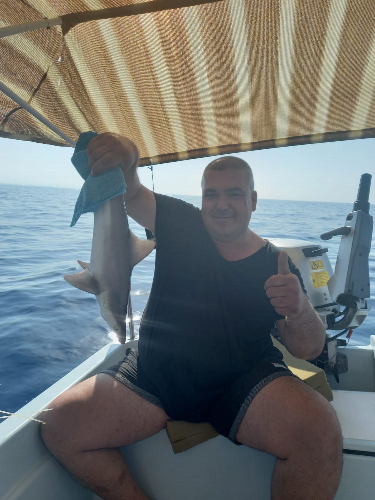 Antalya da bir balıkçının ağına yavru köpek balığı takıldı #2