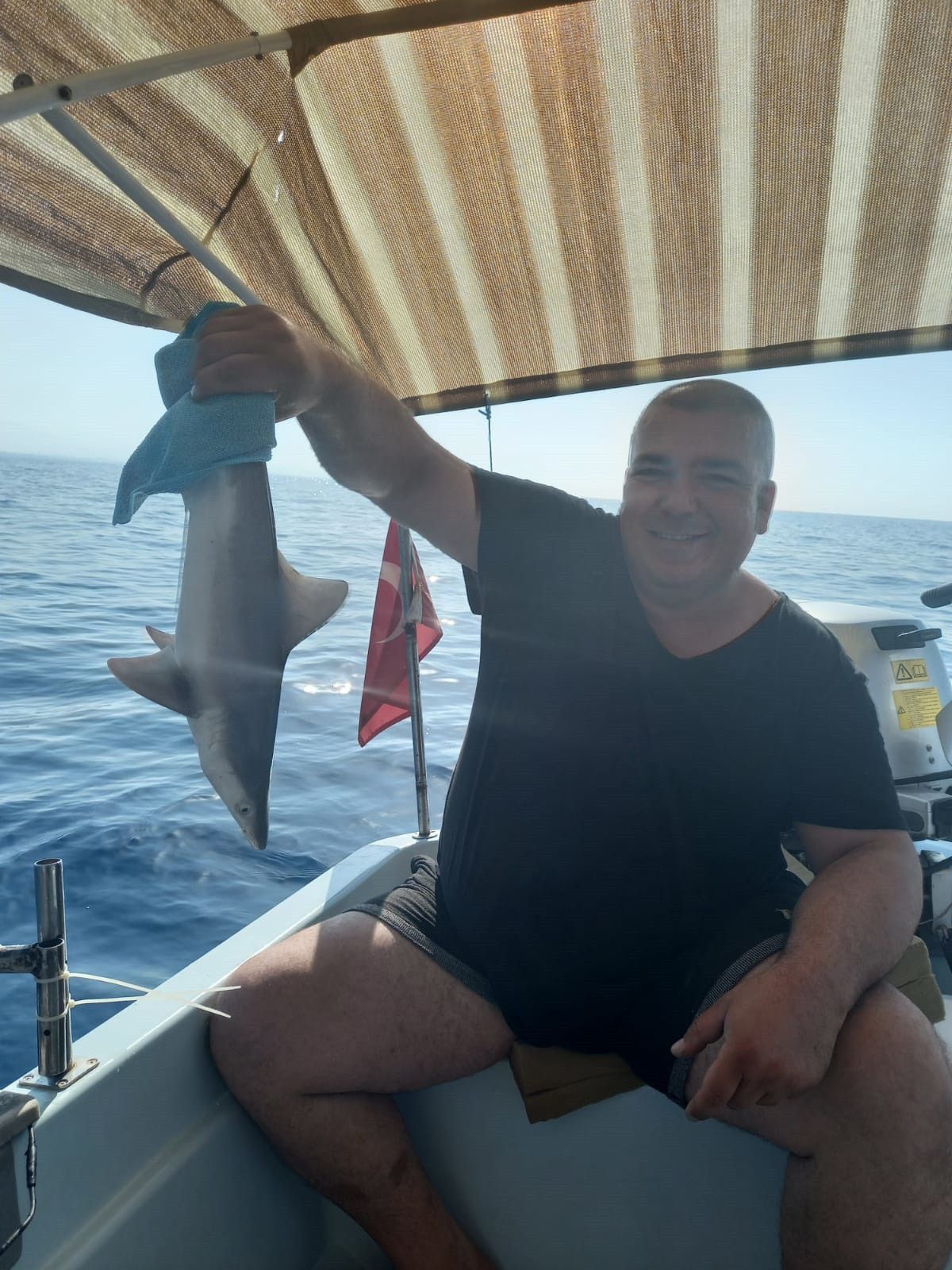 Antalya da bir balıkçının ağına yavru köpek balığı takıldı #1