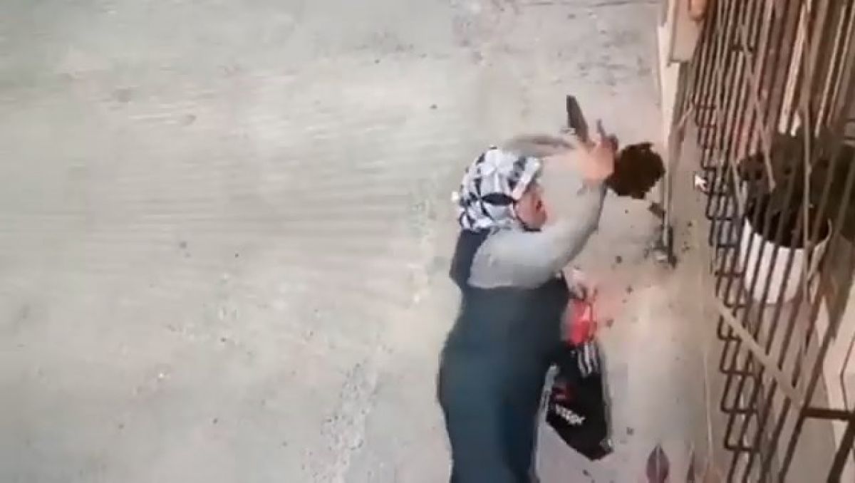 Bursa da camdaki çiçeği çalan kadın kamerada #1