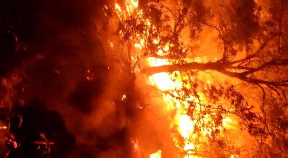 Bingöl de çıkan orman yangını, kontrol altına alındı #5