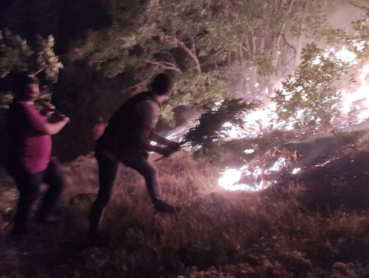 Bingöl de çıkan orman yangını, kontrol altına alındı #3