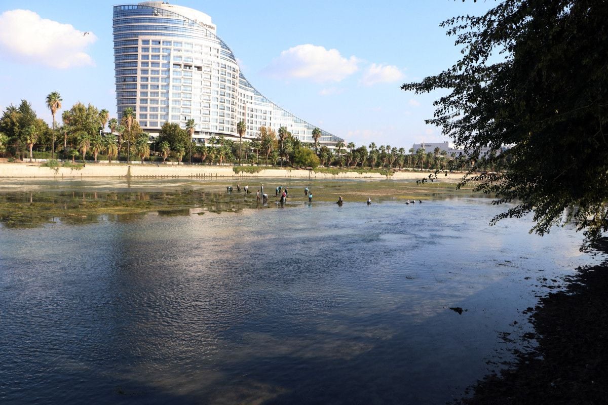 Yosunla kaplanan Seyhan Nehri nin dibi temizleniyor #4