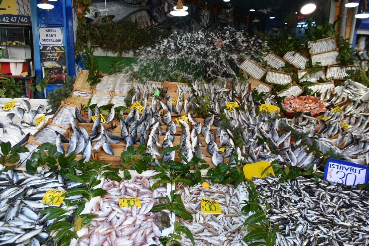 Yunan ve Bulgarlar balık alışverişlerini Edirne de yapıyor #7