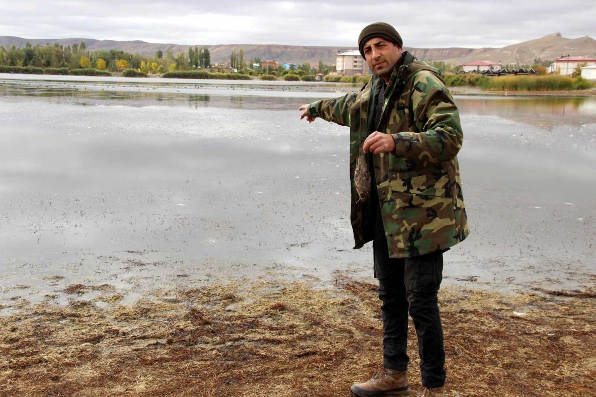 Sivas ta çevre felaketi: Çekilen Ulaş Gölü nde yüzlerce balık öldü #3
