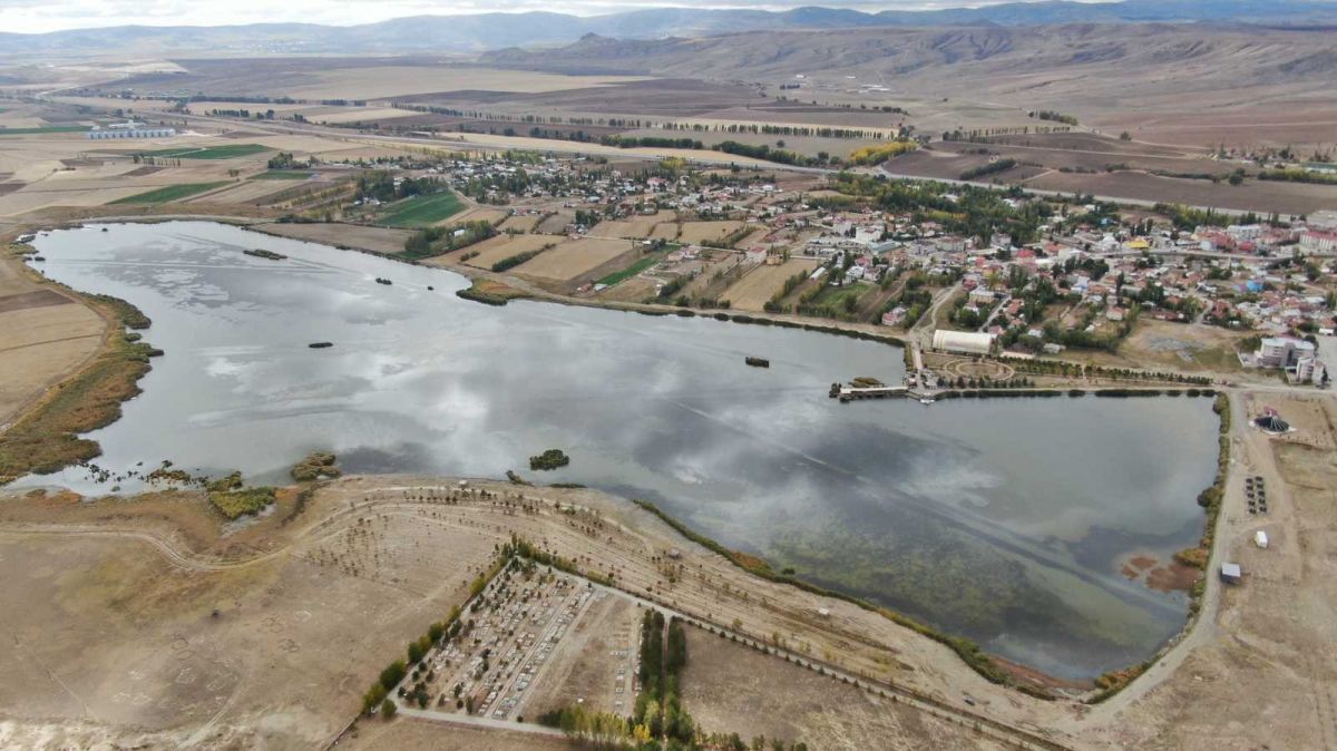 Sivas ta çevre felaketi: Çekilen Ulaş Gölü nde yüzlerce balık öldü #5