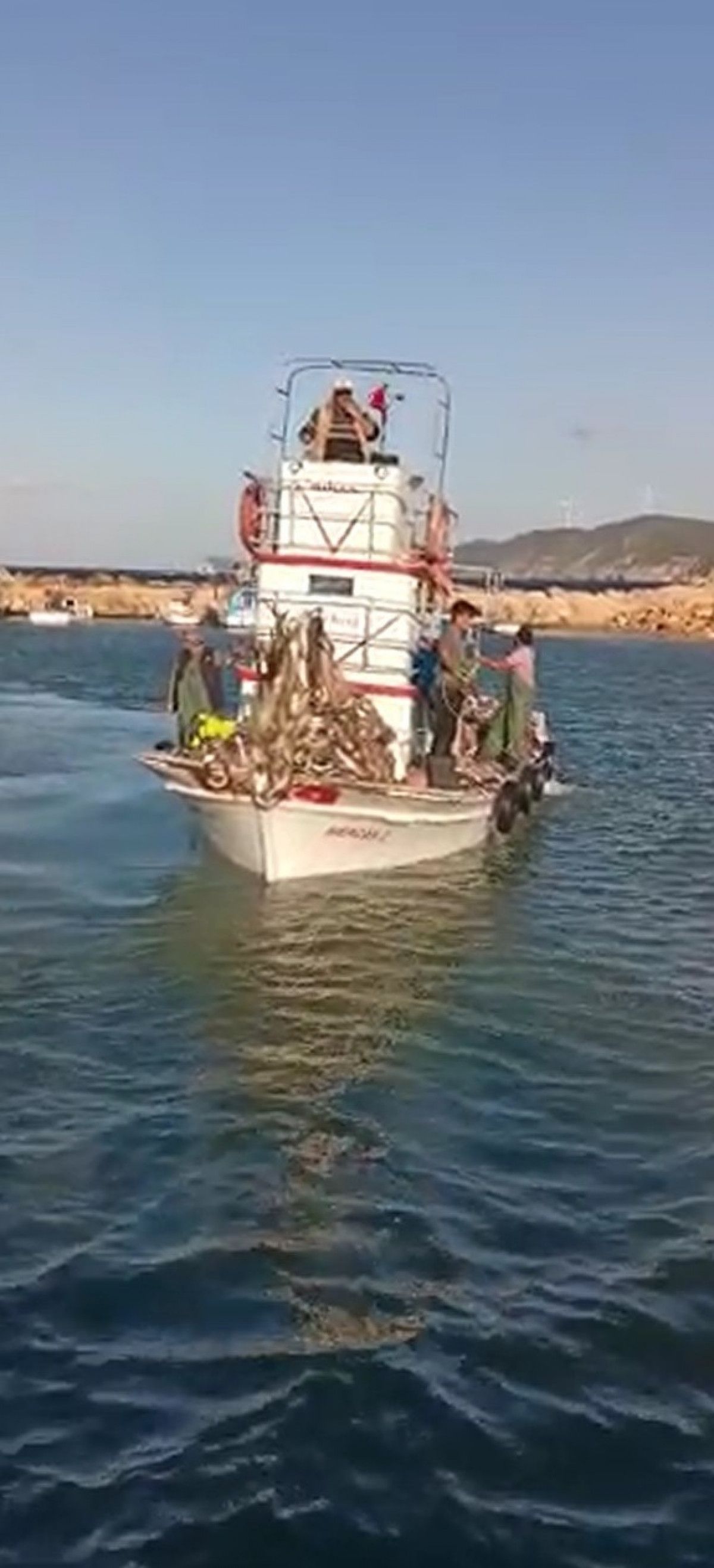 Çanakkaleli balıkçılar 15 bin adet lüfer yakaladı #4