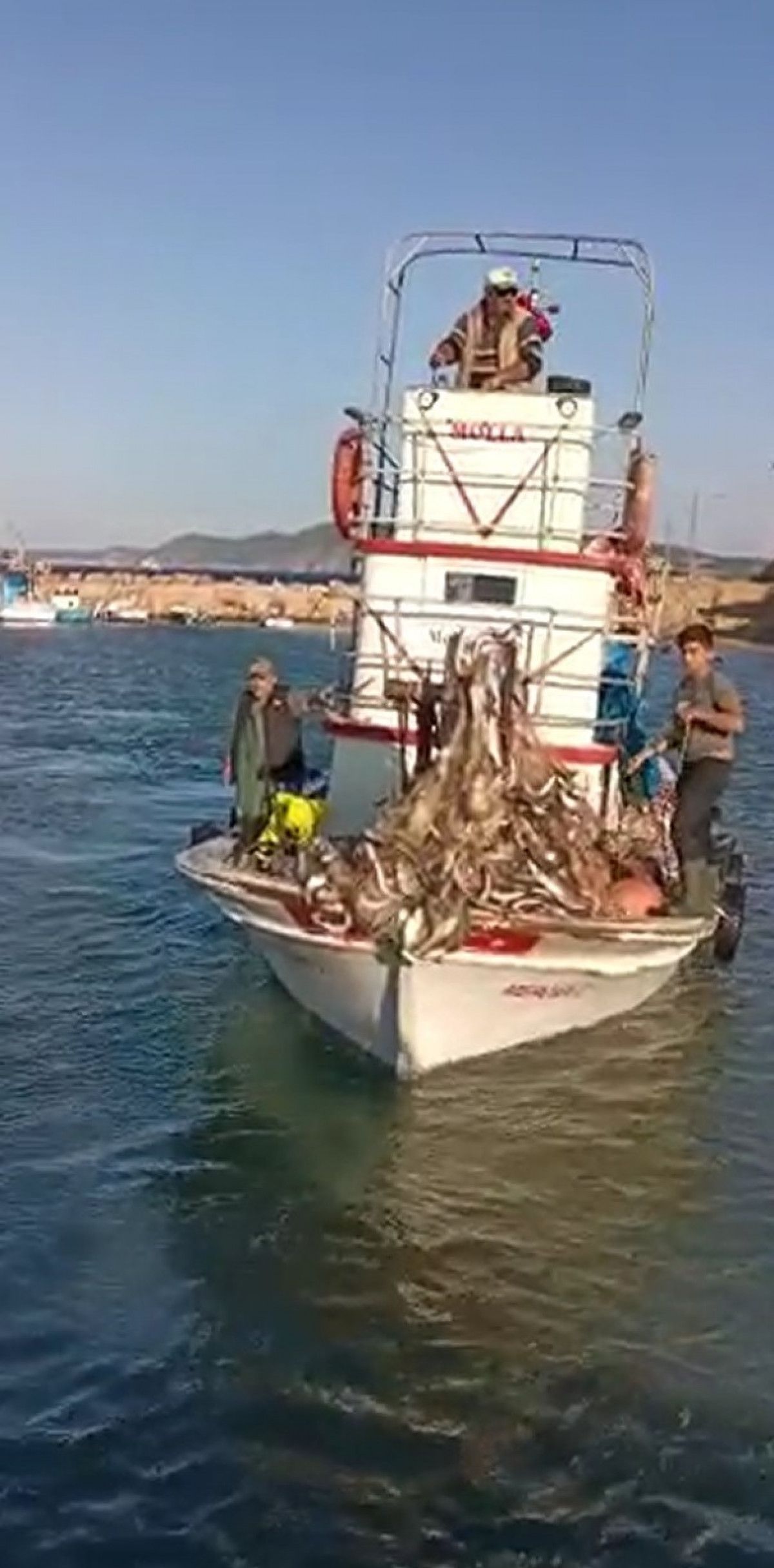 Çanakkaleli balıkçılar 15 bin adet lüfer yakaladı #5