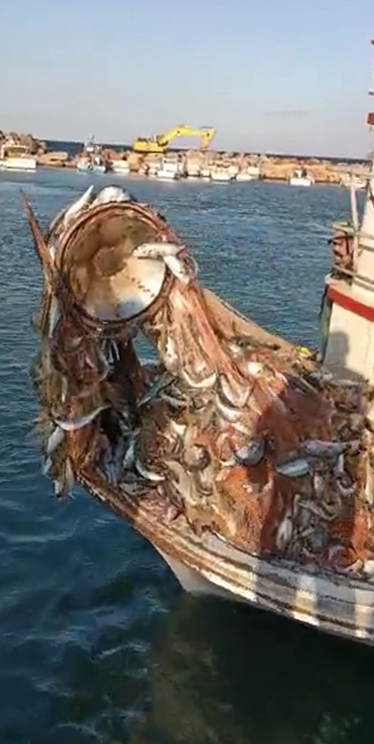 Çanakkaleli balıkçılar 15 bin adet lüfer yakaladı #6
