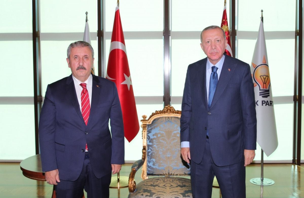 Cumhurbaşkanı Erdoğan, Mustafa Destici ile görüştü #1
